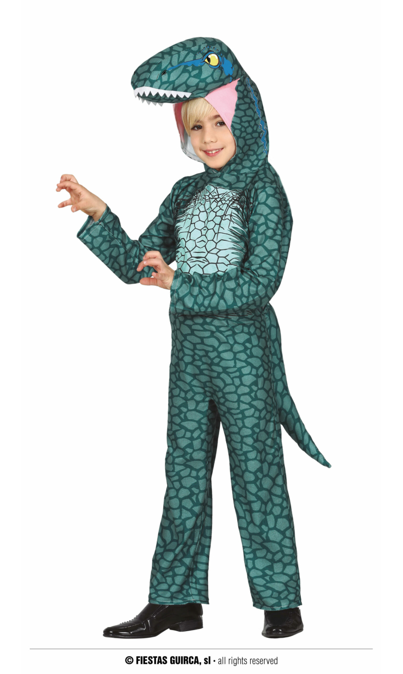 Raptor Dinosaur Costume - Age 5 to 6 Years
