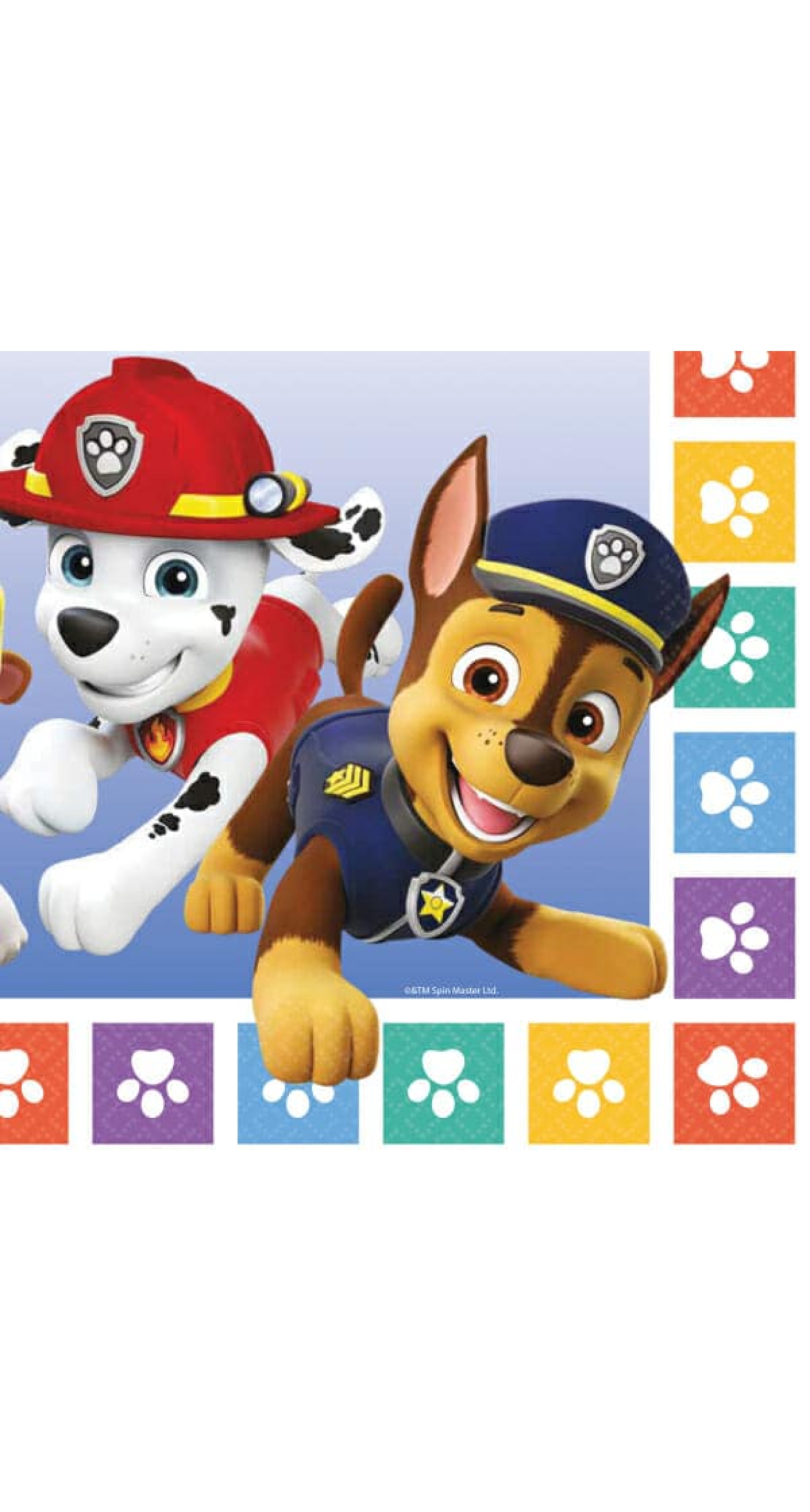 Paw Patrol Napkins 33 x 33cm - 16pk
