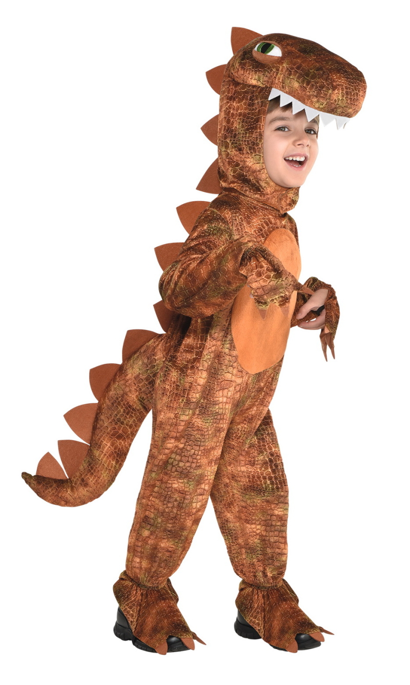 T-Rex Dinosaur Costume - Age 4 to 6 Years