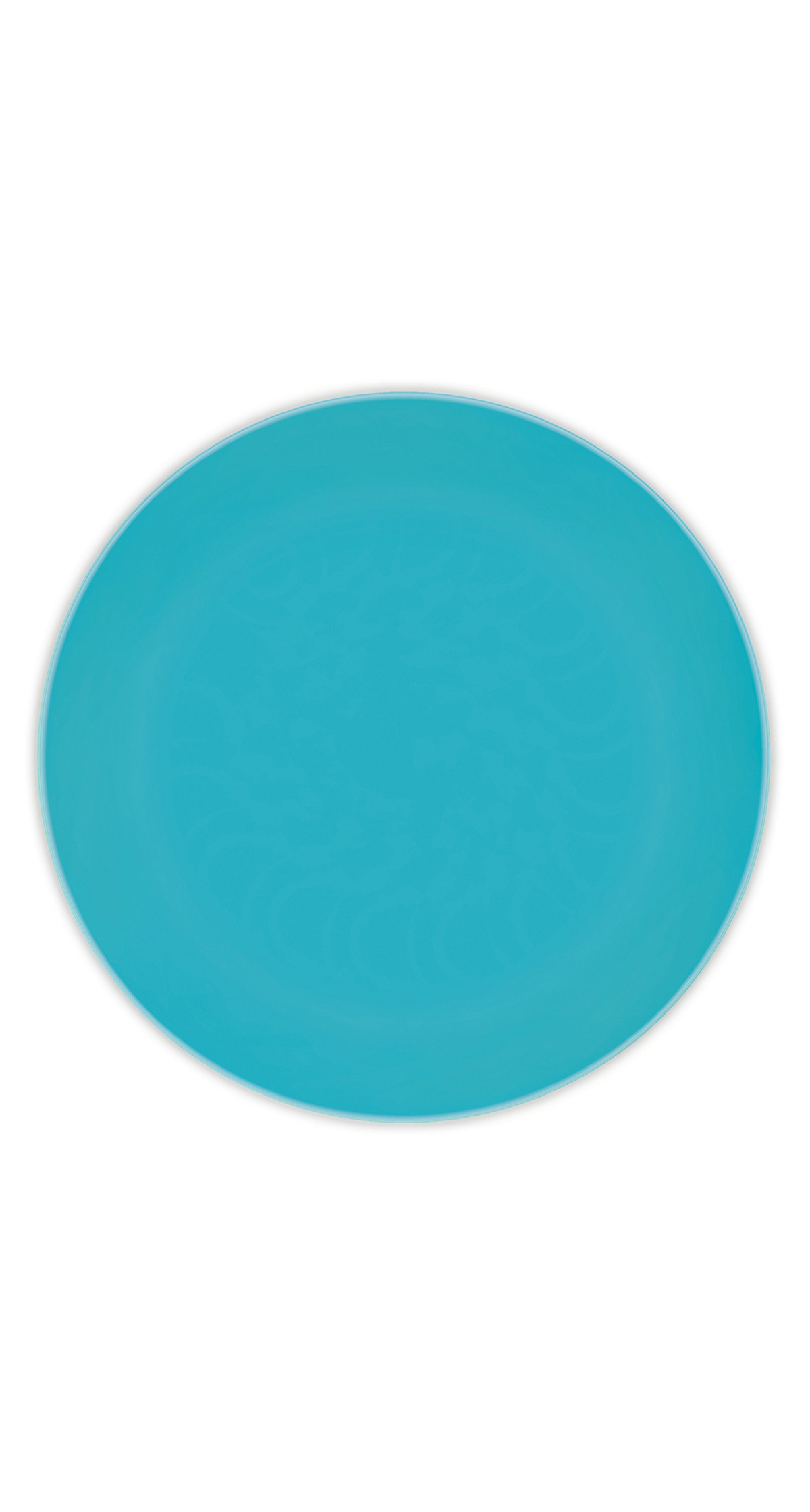 Solid Colour Turquoise Reusable Plates 25cm - 2pk