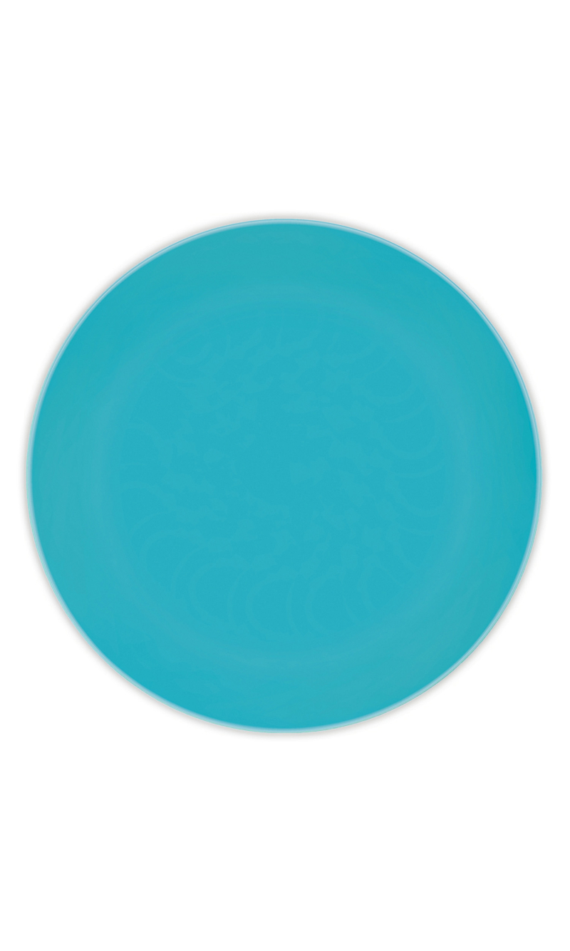 Solid Colour Turquoise Reusable Plates 25cm - 2pk