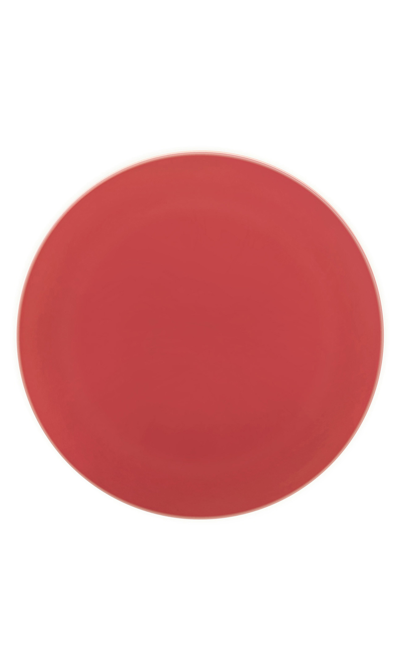 Solid Colour Red Reusable Plates 25cm - 2pk