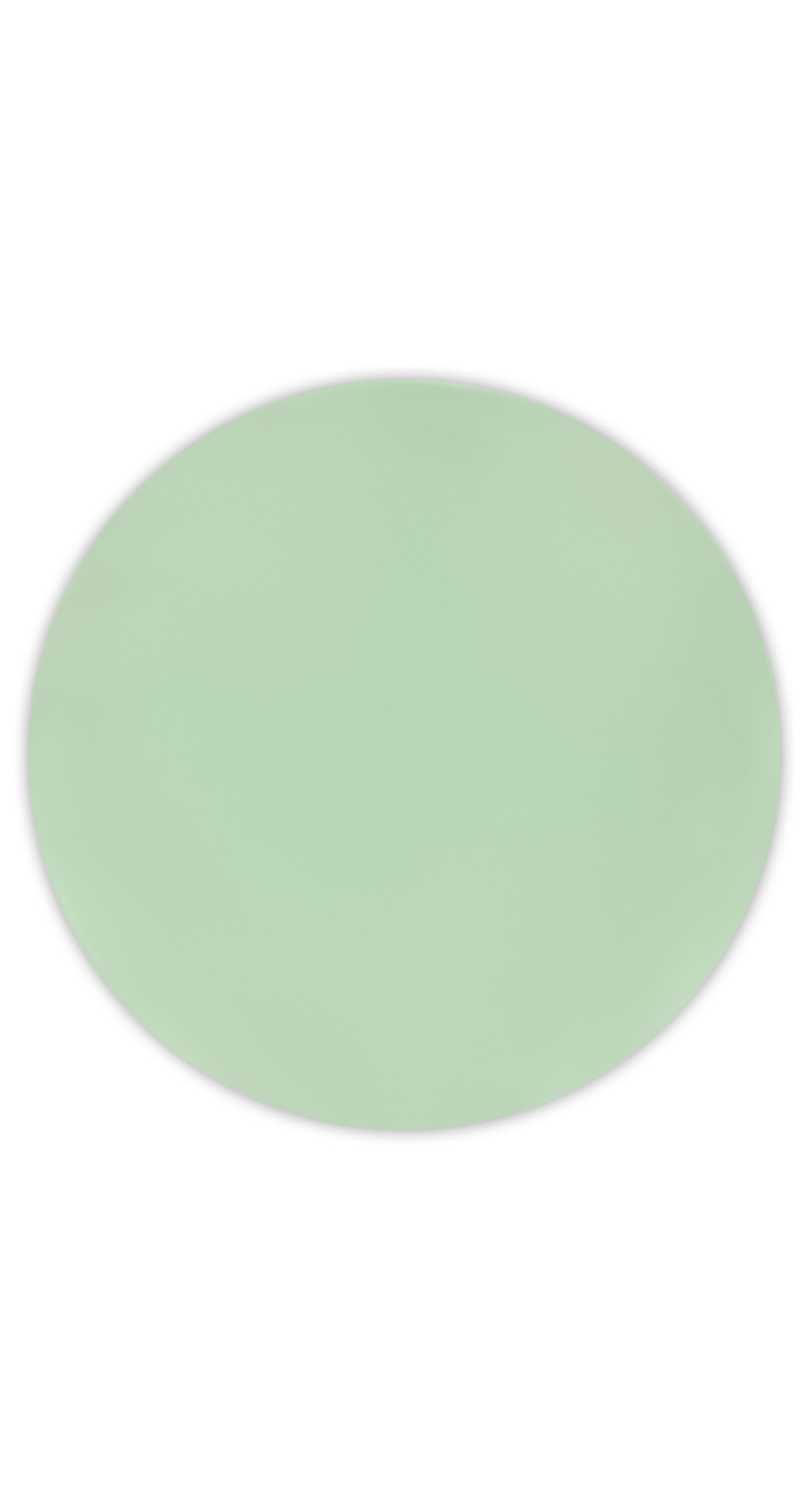 Solid Colour Mint Pastel Reusable Plates 25cm - 2pk