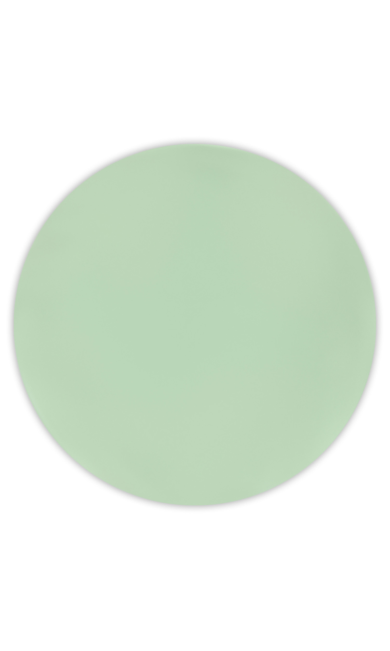 Solid Colour Mint Pastel Reusable Plates 25cm - 2pk