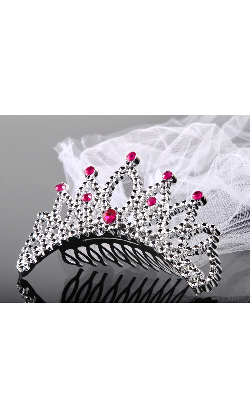 Tiara With A Veil For A Bachelorette Party, Silver