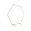 Hexagon Backdrop stand, Gold, 2M