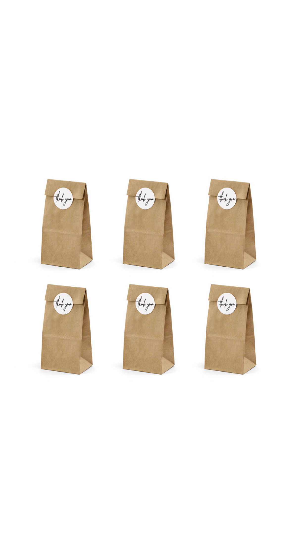Treat Bags, Kraft (1pkt / 6pc)