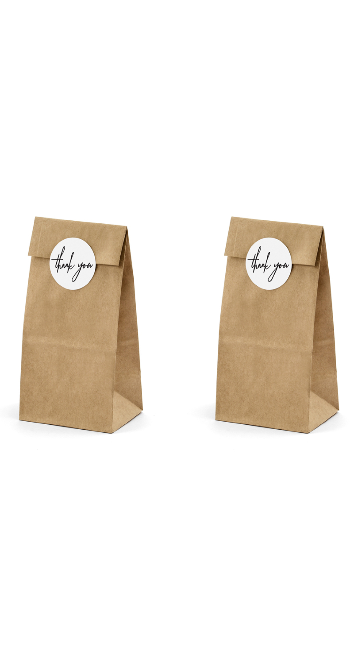 Treat Bags, Kraft (1pkt / 6pc)