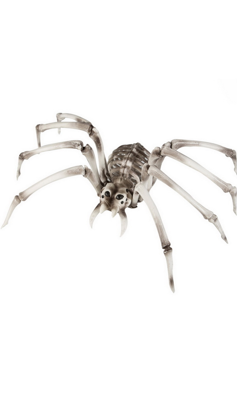 Skeleton Spider - 82 x 48 x 22cm