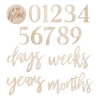 Wooden Pregnancy & Baby Milestone Signs - 17pk