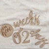 Wooden Pregnancy & Baby Milestone Signs - 17pk