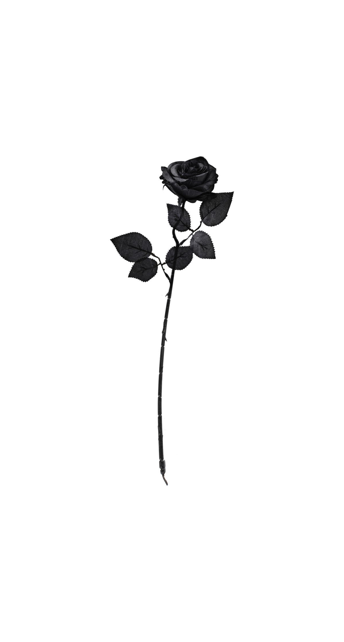 Black Rose Floral Stem Decoration 40cm - 1pk