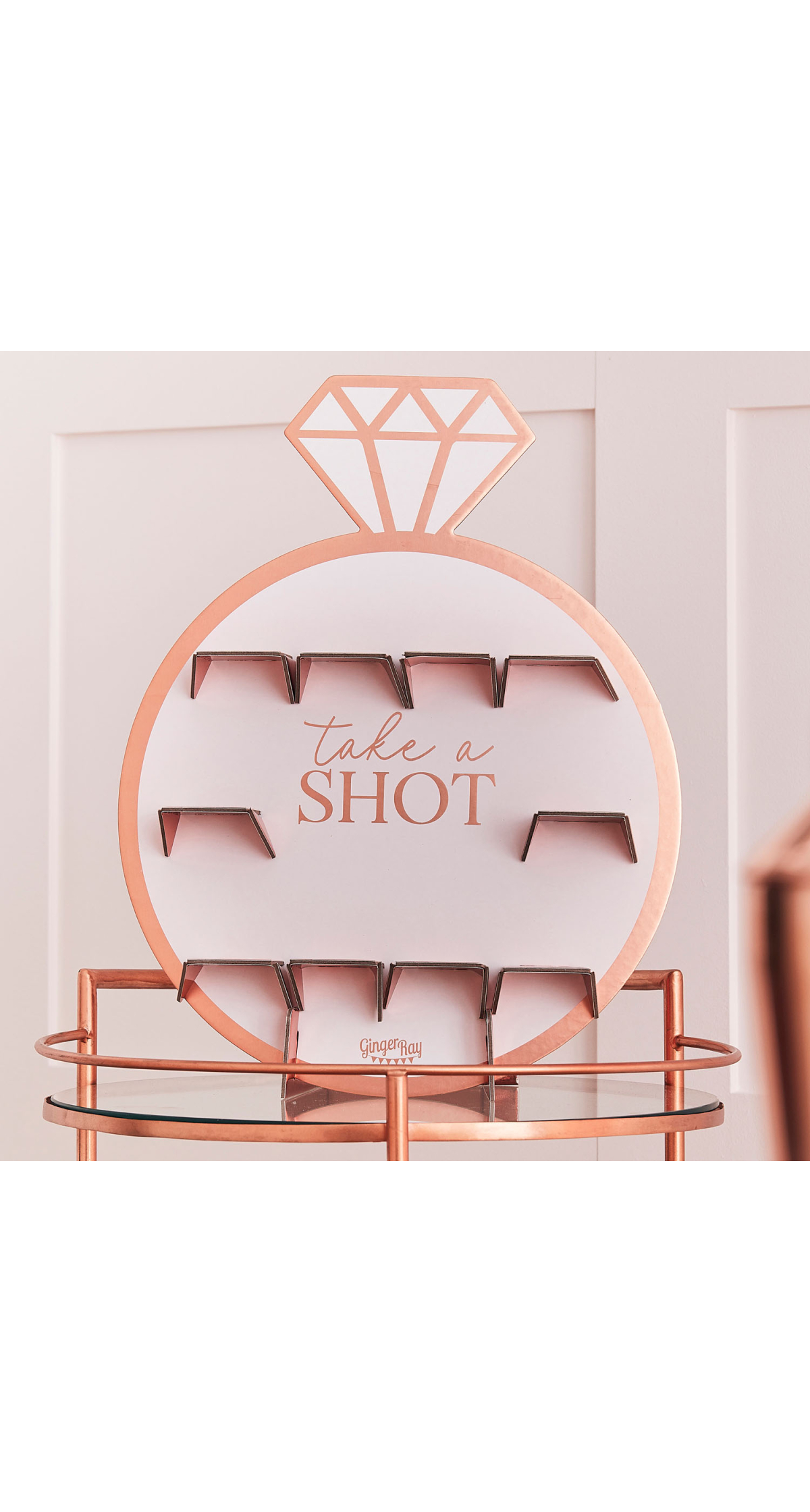 Rose Gold Hen Party Drinks Shot Wall - 40cm x 69cm
