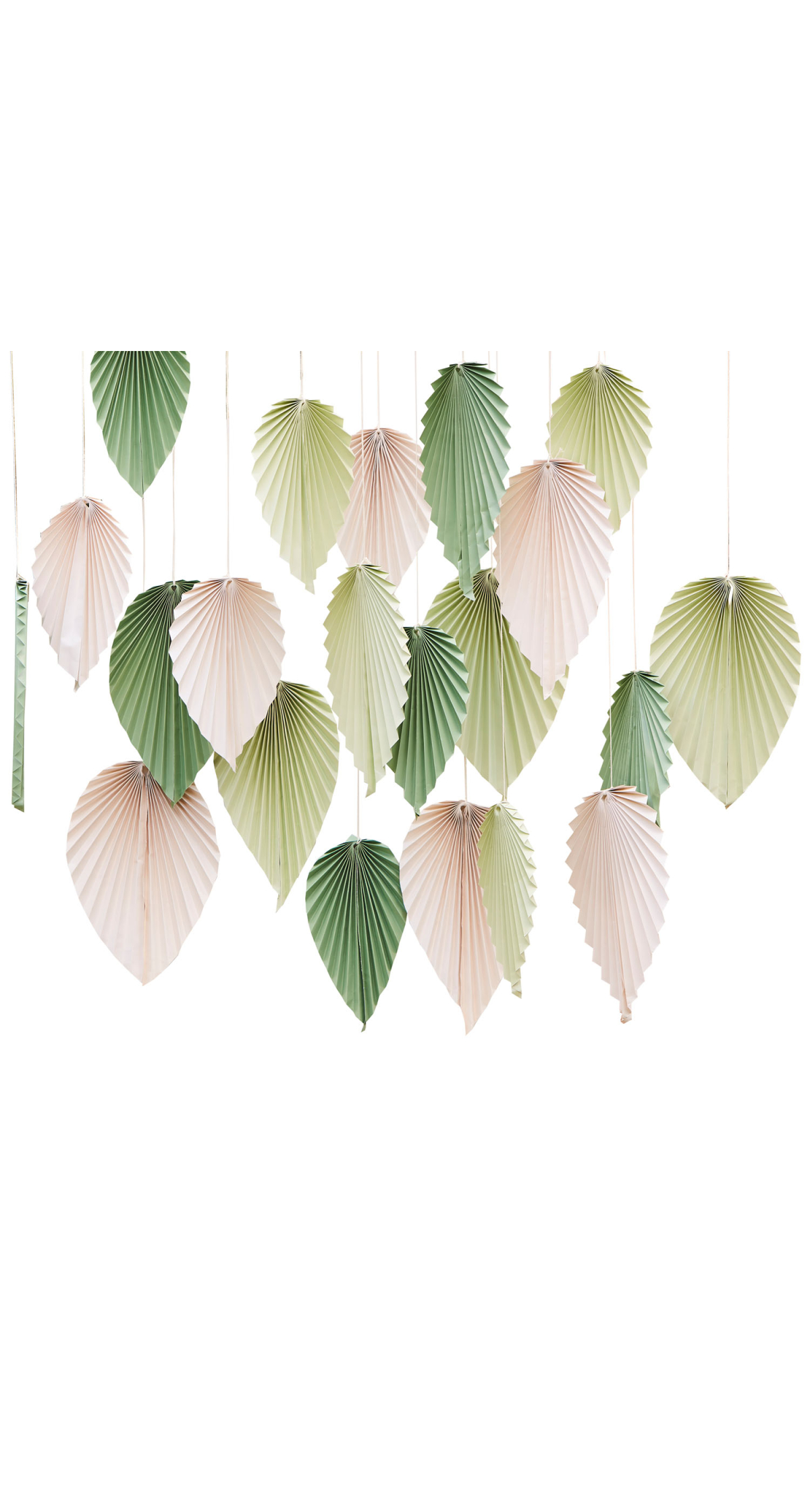 Sage & Cream Palm Backdrop - 25pk