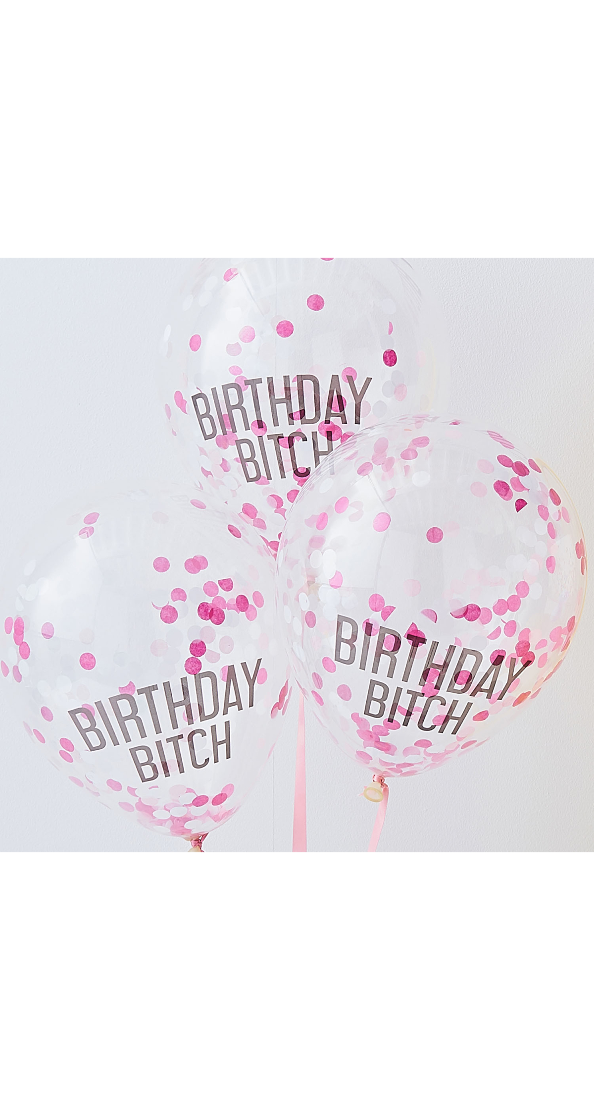 Birthday Bitch Party Balloons & Bunting Kit