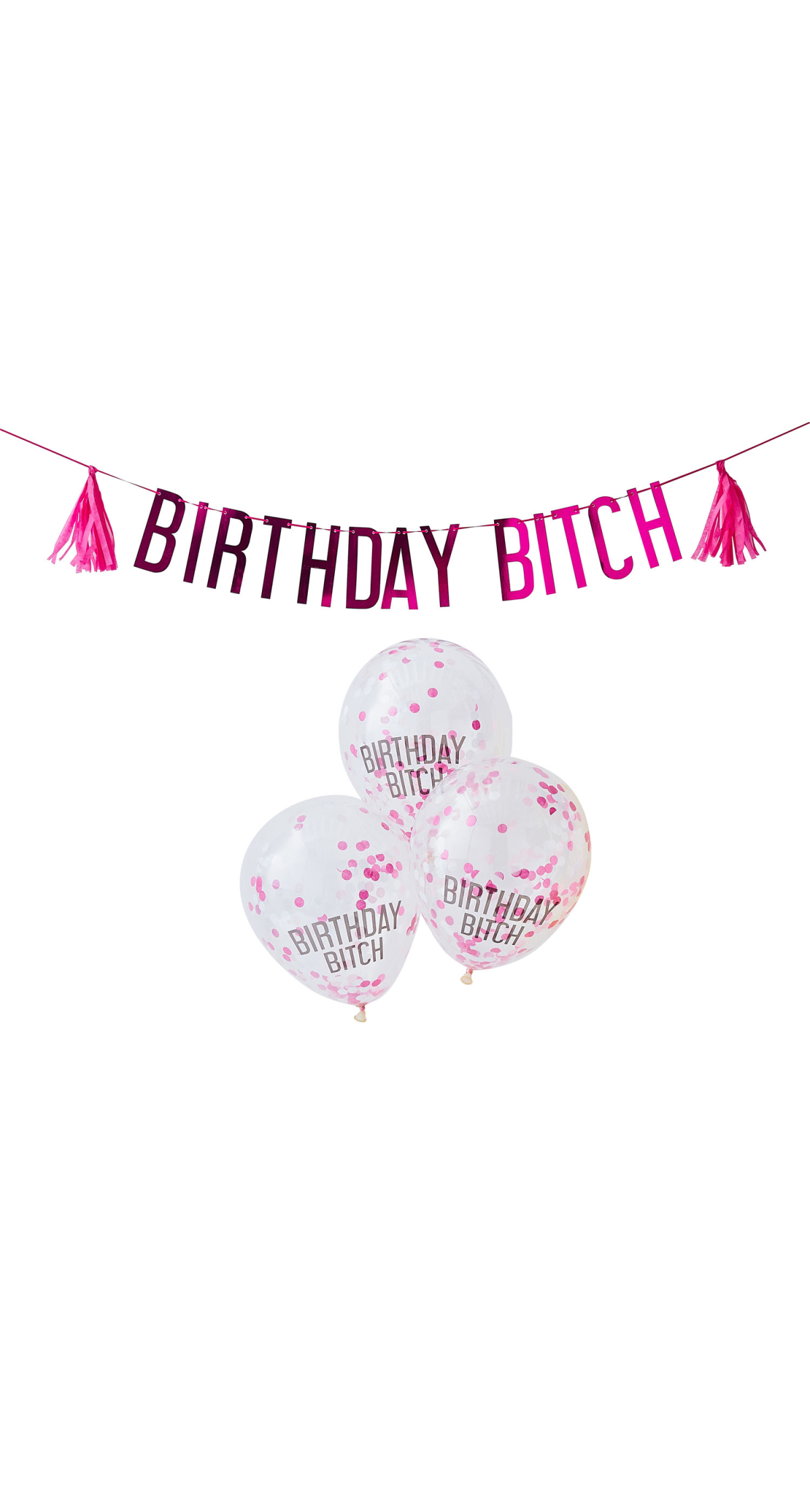 Birthday Bitch Party Balloons & Bunting Kit