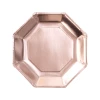 Rose Gold Paper Plates 25cm - 8pk