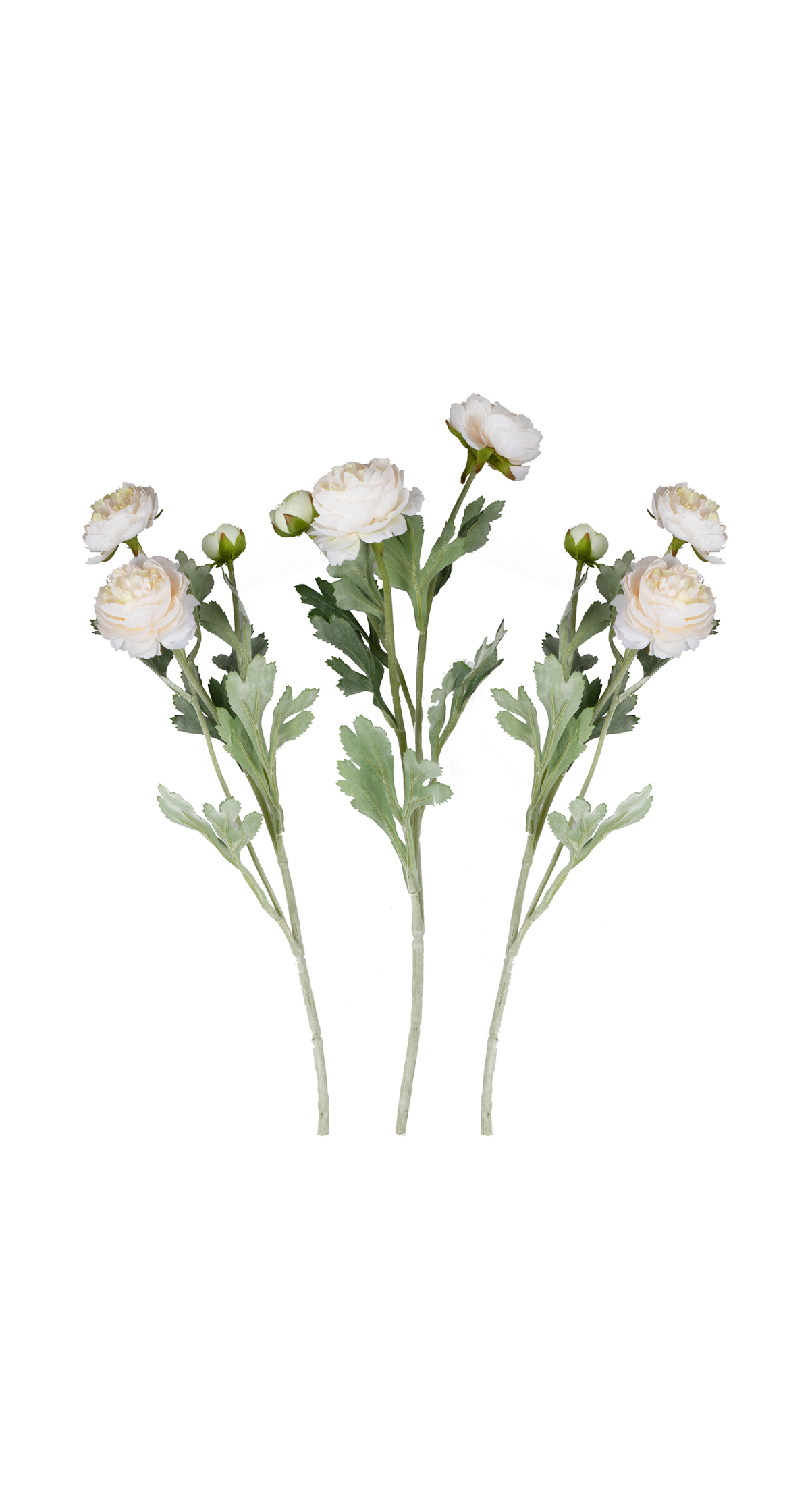 Ranunculus Artificial Foliage Stems 45cm - 3pk
