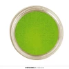 Professional Water Based Face & Body Paint 15gr - Light Green