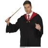 Harry Potter Wizard Magic Wand 45cm