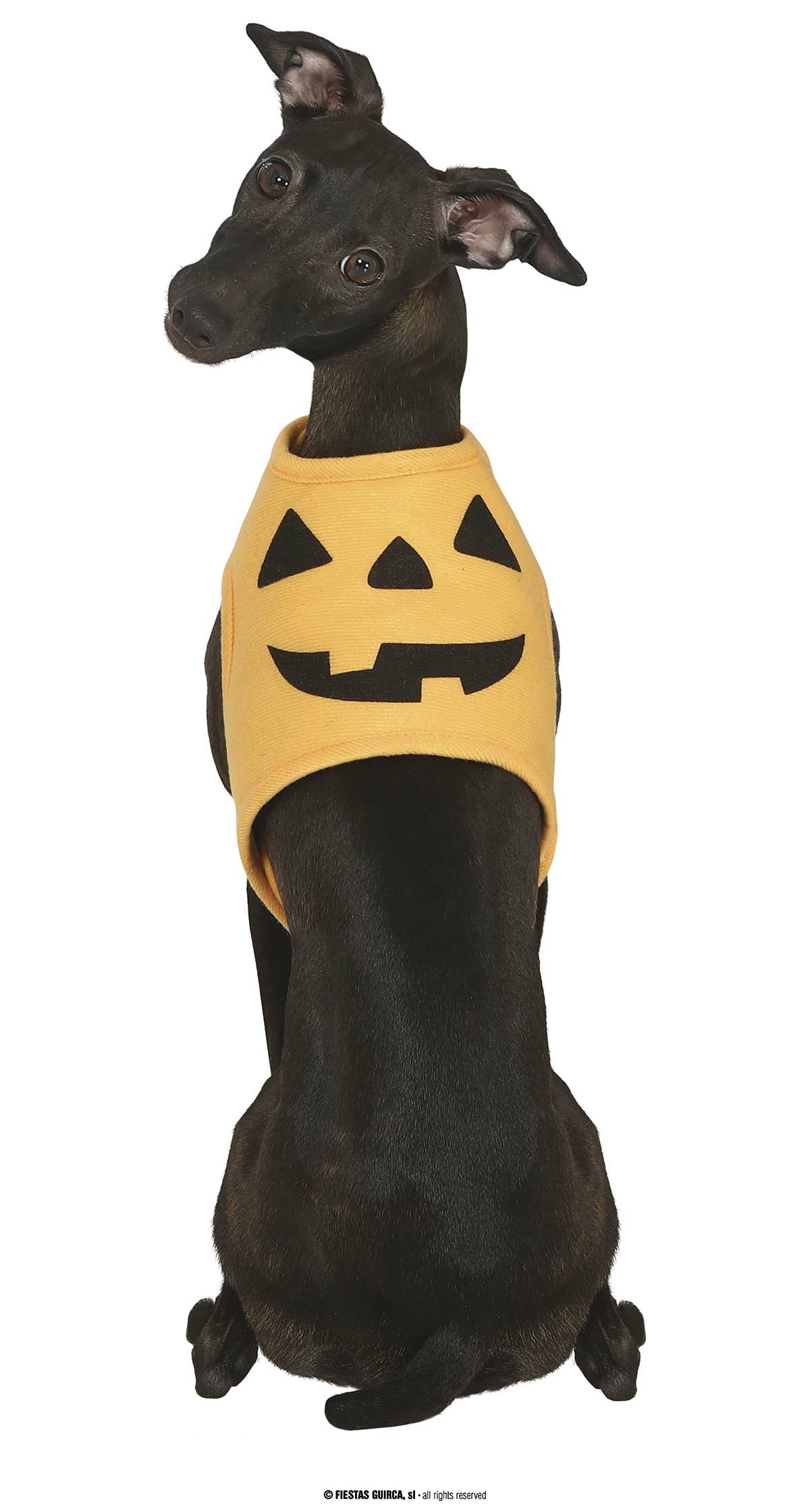 Pumpkin Dog Costume - Pet Size Small