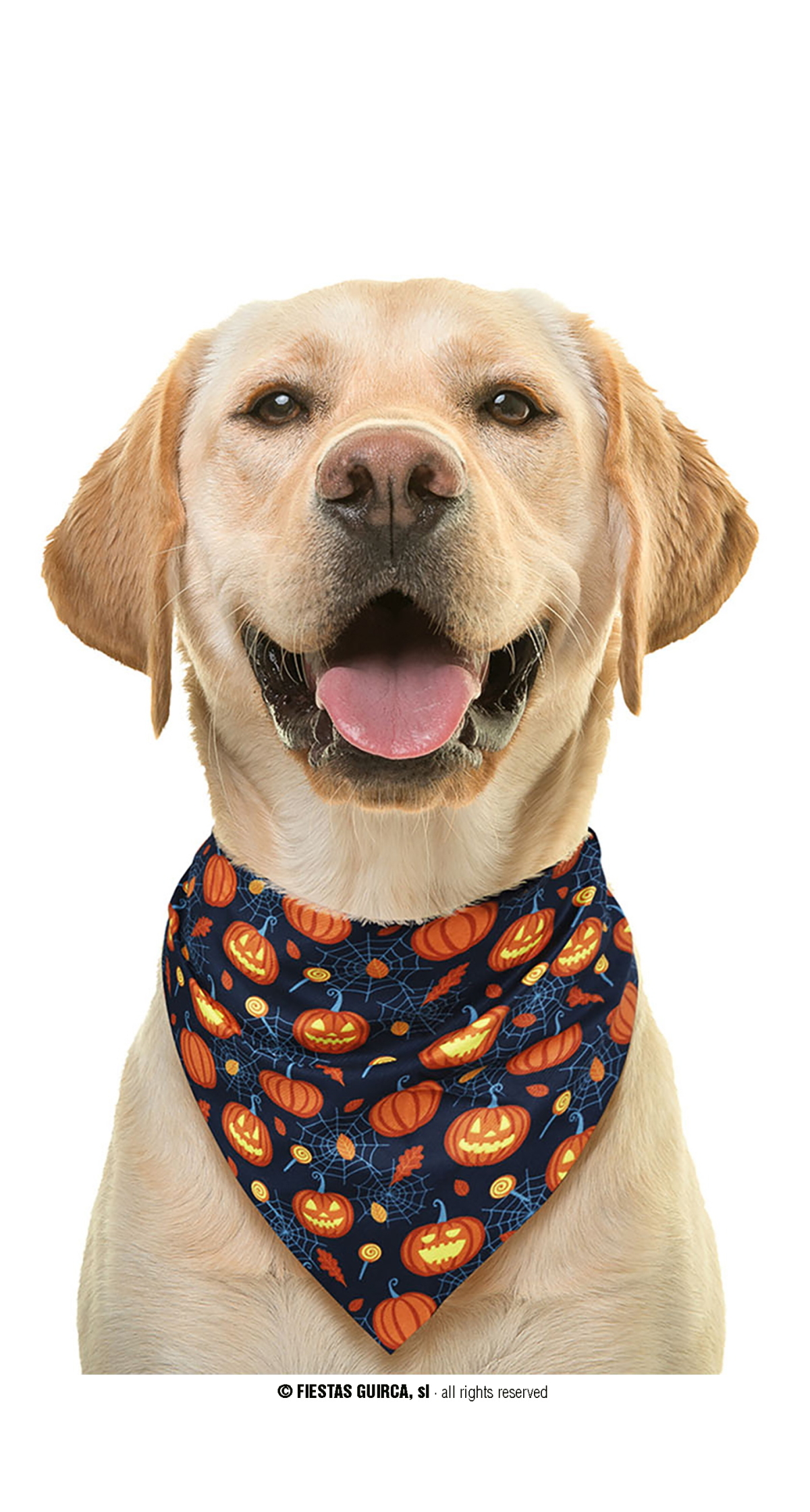 Halloween Pumpkin Pet Scarf