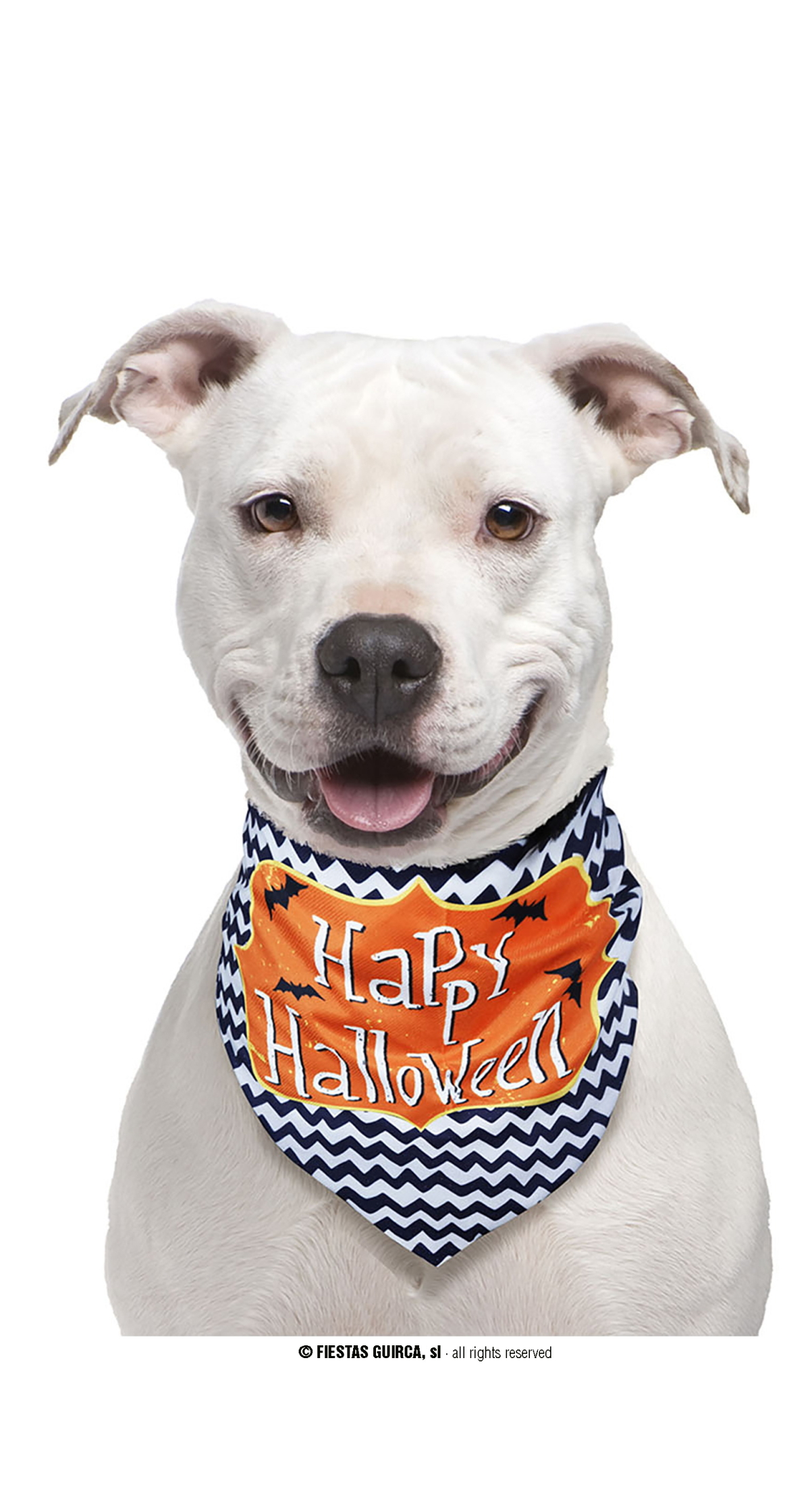 Halloween Pet Scarf Happy Halloween