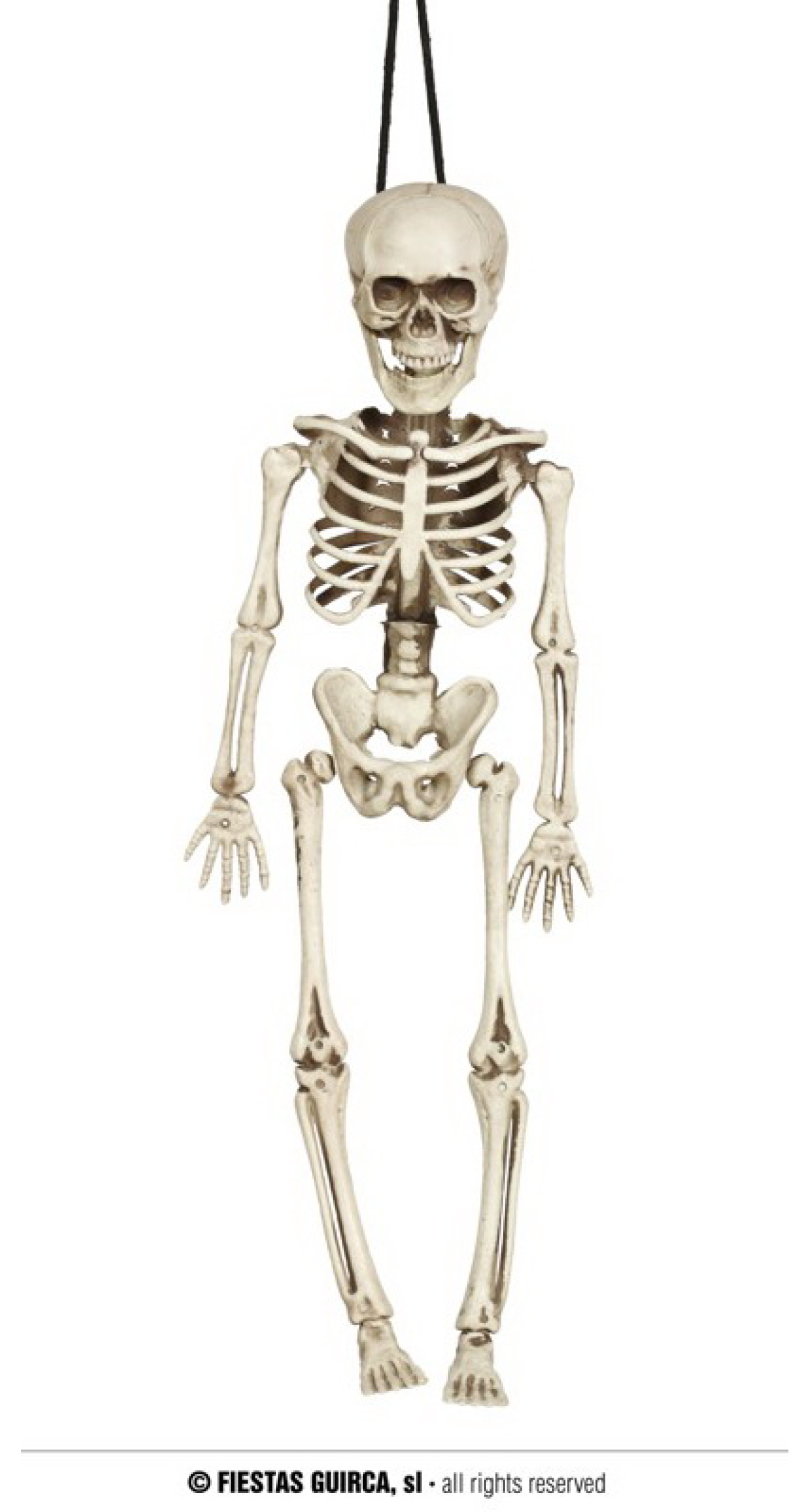Skeleton (26042) - 40cm