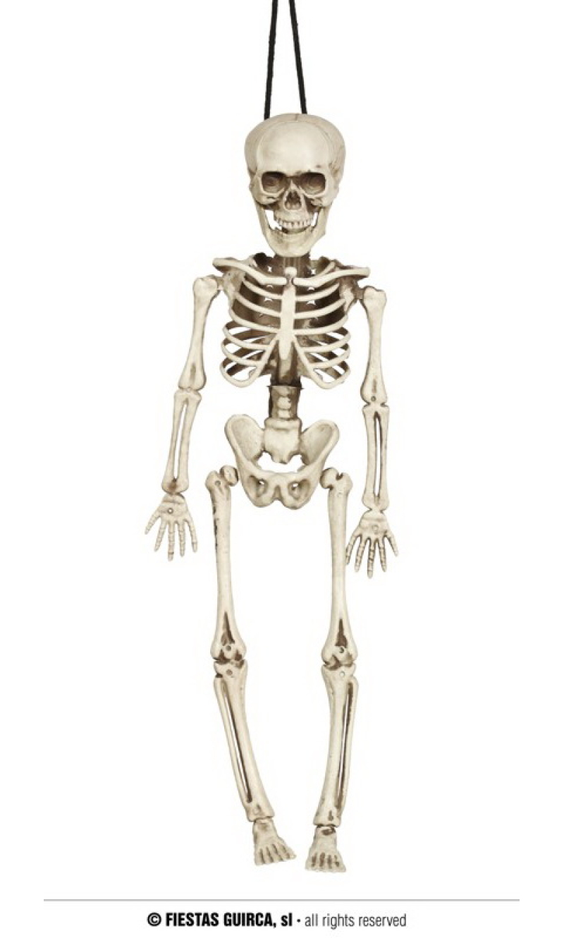 Skeleton (26042) - 40cm