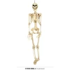 Hanging Skeleton (20643) - 90cm