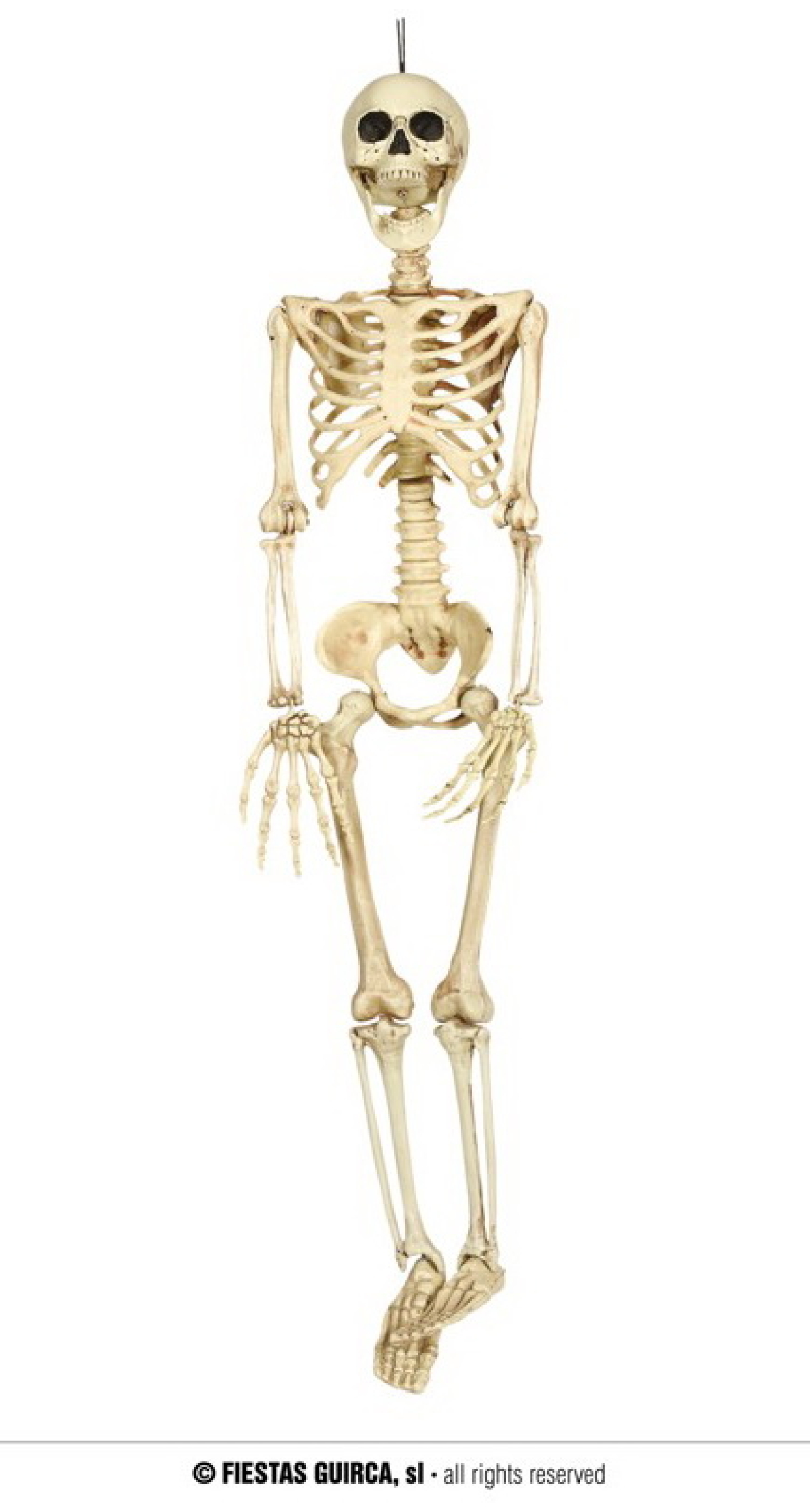 Hanging Skeleton (20643) - 90cm