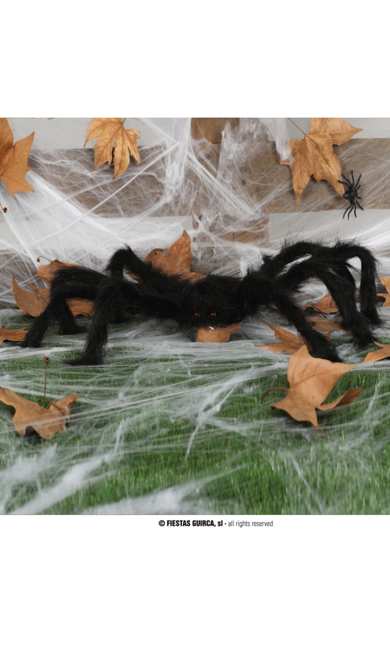 Halloween Spider - 70cm