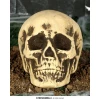 Halloween Foam Skull - 22cm