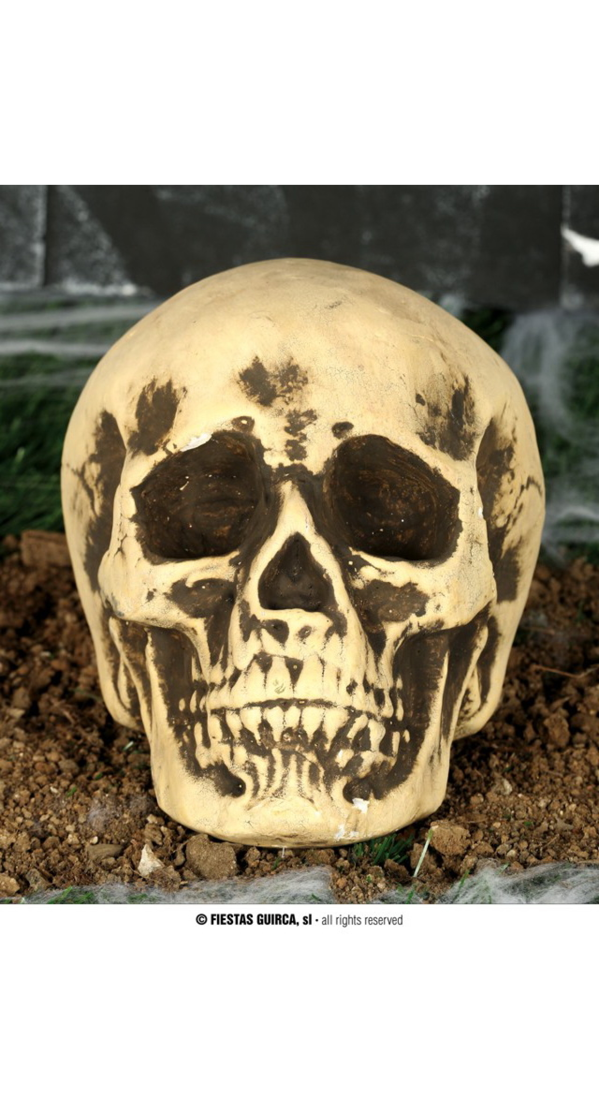 Halloween Foam Skull - 22cm