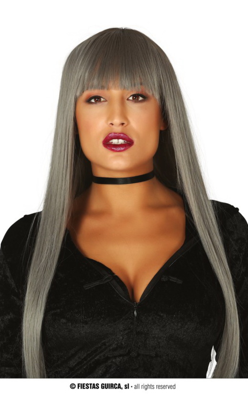 Grey Long Wig - Adult One Size
