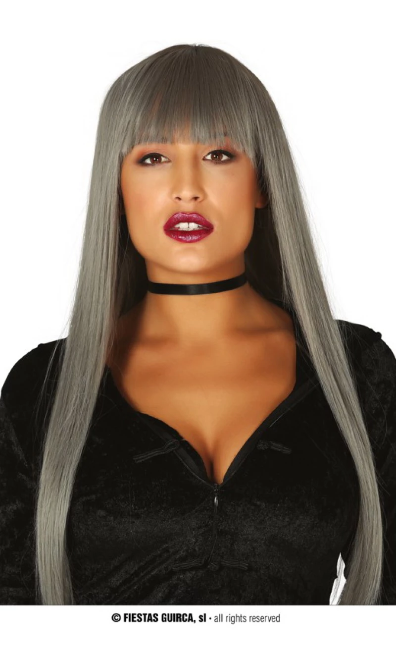Grey Long Wig - Adult One Size