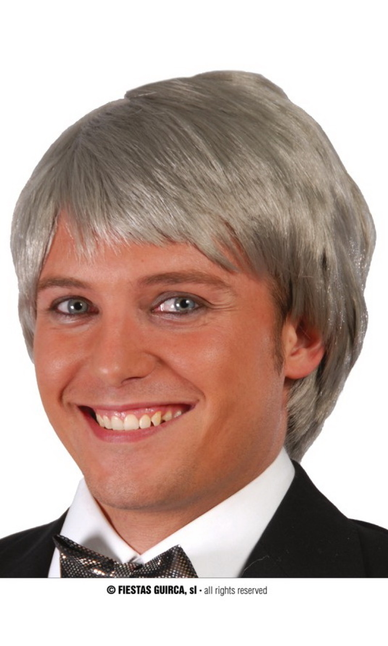 Grey Man Wig - Adult One Size