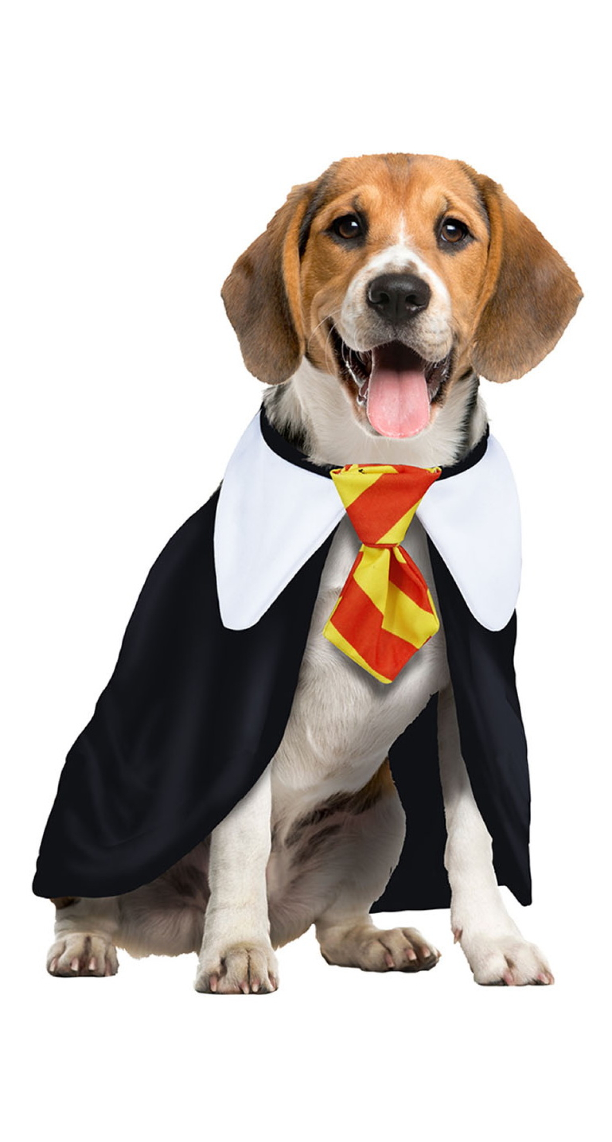 Harry Potter Dog Costume - Pet Size Small