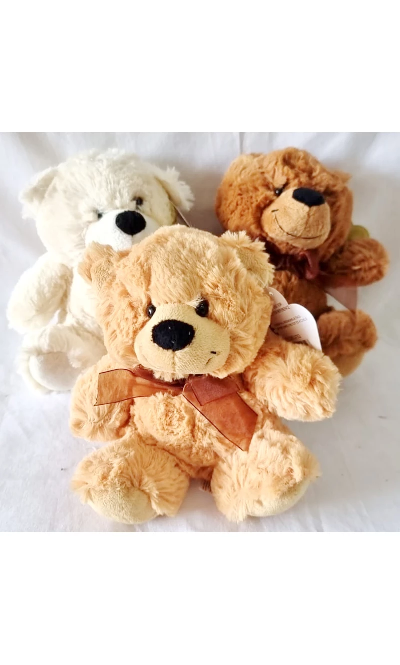 Snuggle Your Cuddly Friend Teddy Bear Soft Toy - 18x14cm