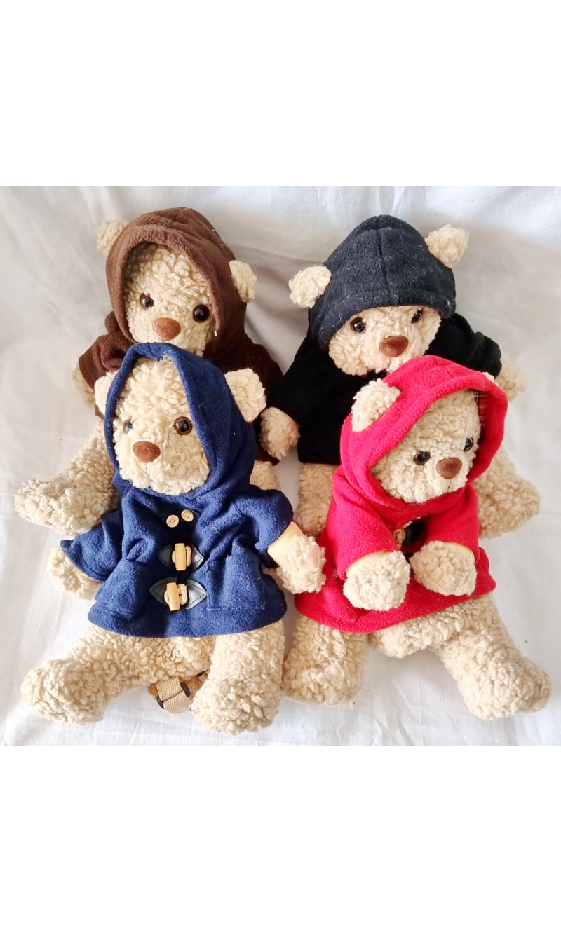 Champ Collection Teddy Bear With Hoodie Backpack Assorted Colors - 32x20cm