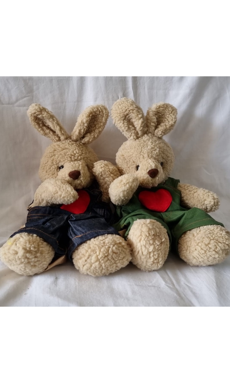 Champ Collection Teddy Bear Bunny Backpack Assorted Colors - 46x19.5cm