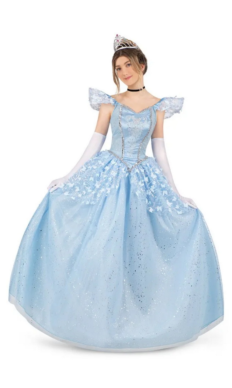 Enchanted Princess Cinderella Costume - Adult Size Large