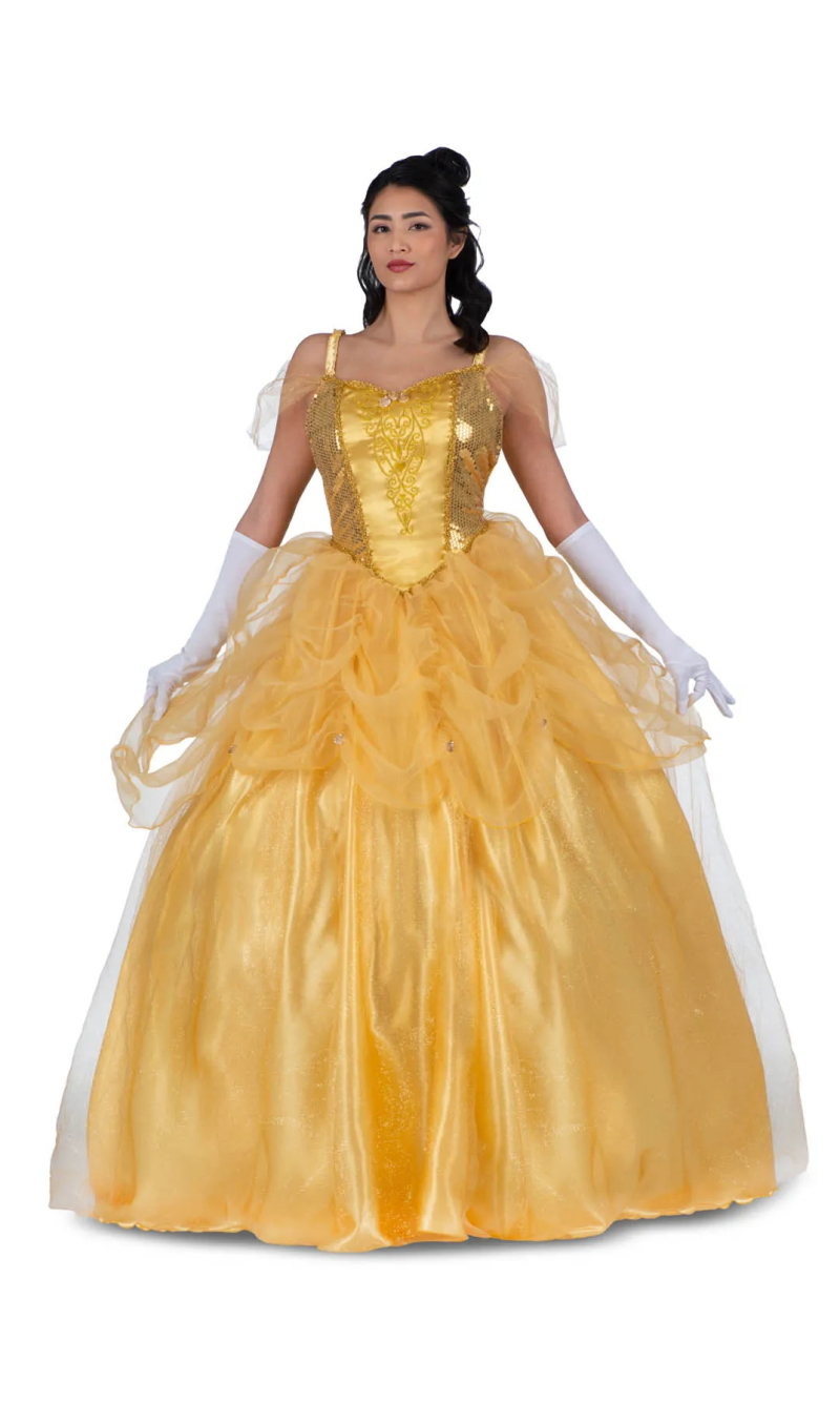 Enchanted Princess Belle Costume - Adult Size Small