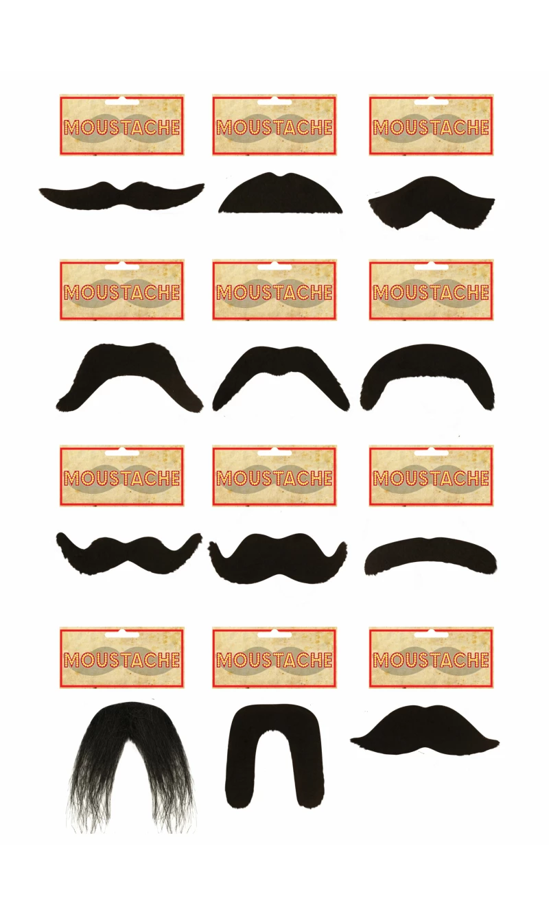 Fake Moustache (Assorted Styles)