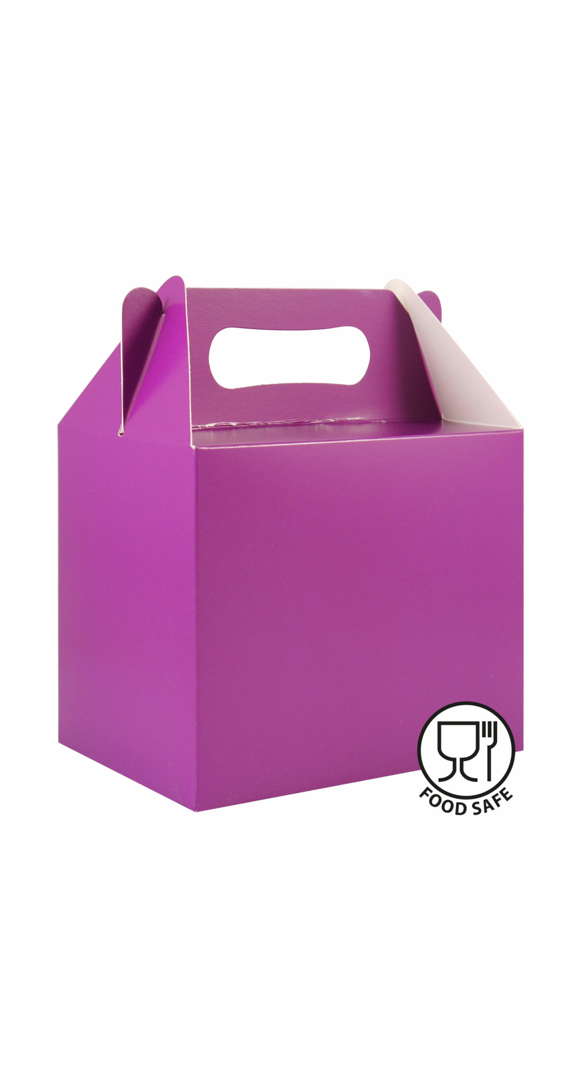 Party Favour Box - Purple