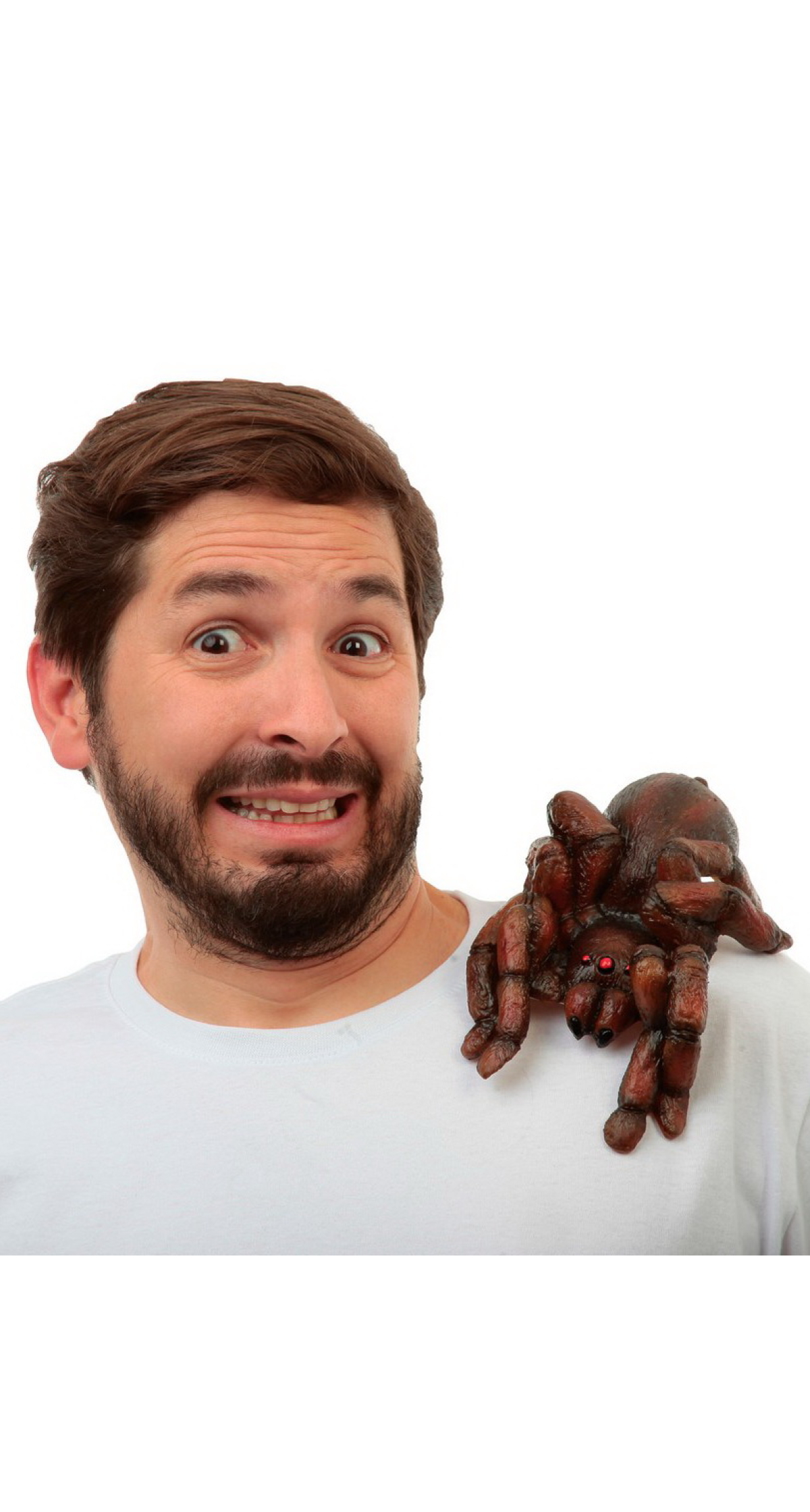 Shoulder Buddy Tarantula (Ghoulish)
