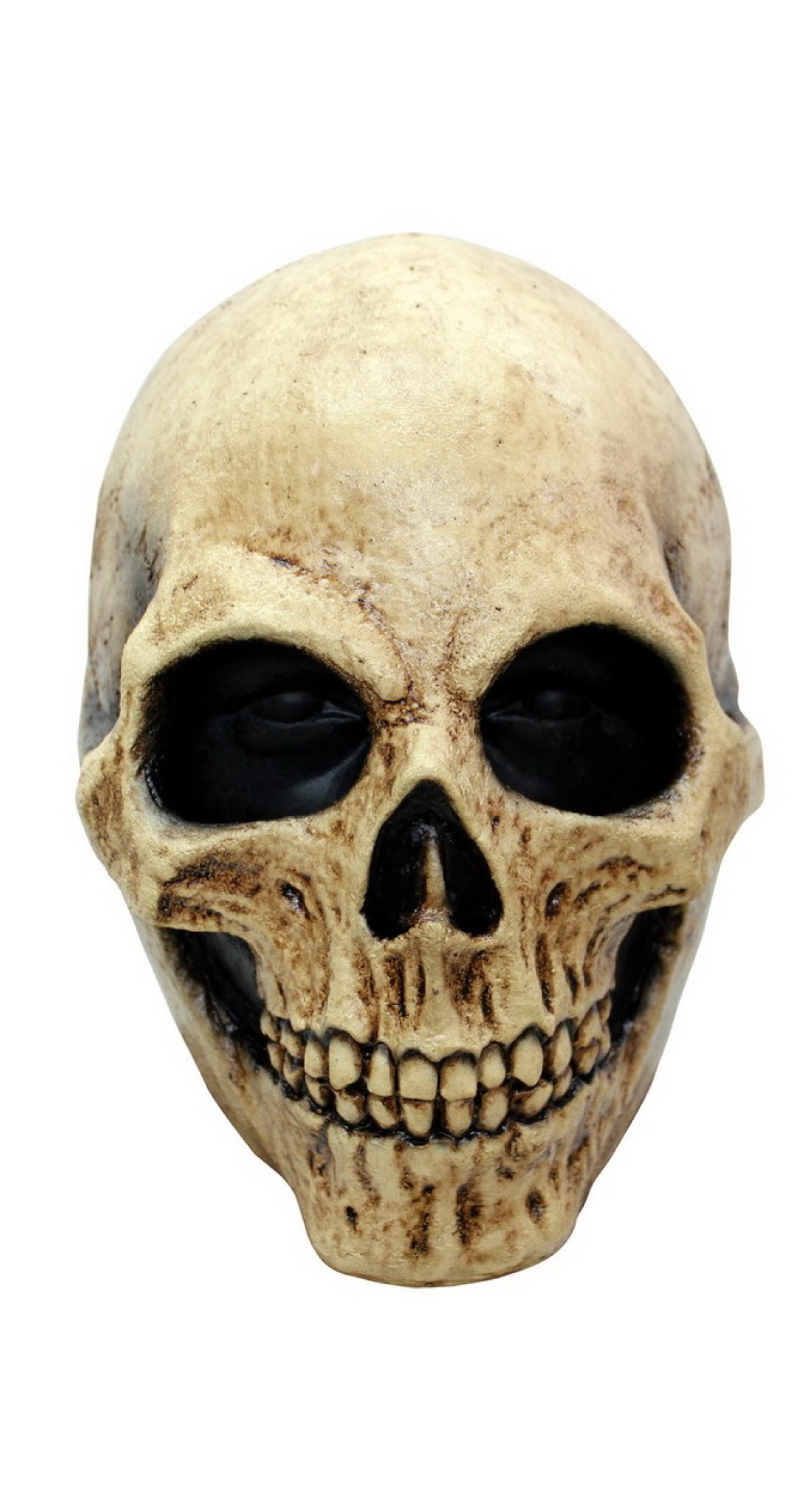 Bone Skull Latex Mask (Ghoulish) - Adult One Size