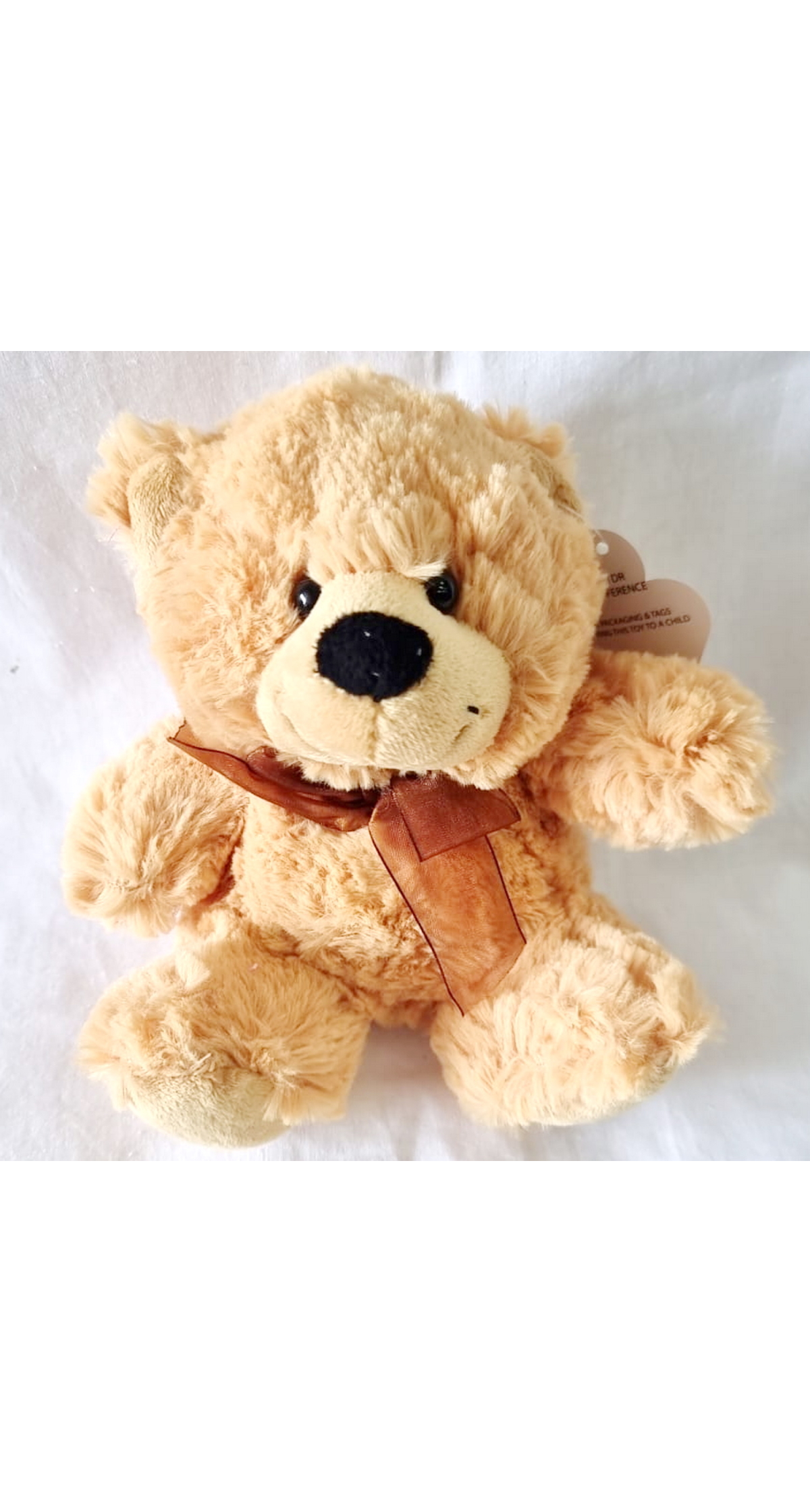 Snuggle Your Cuddly Friend Teddy Bear Soft Toy - 18x14cm - Image 3