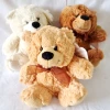 Snuggle Your Cuddly Friend Teddy Bear Soft Toy - 18x14cm