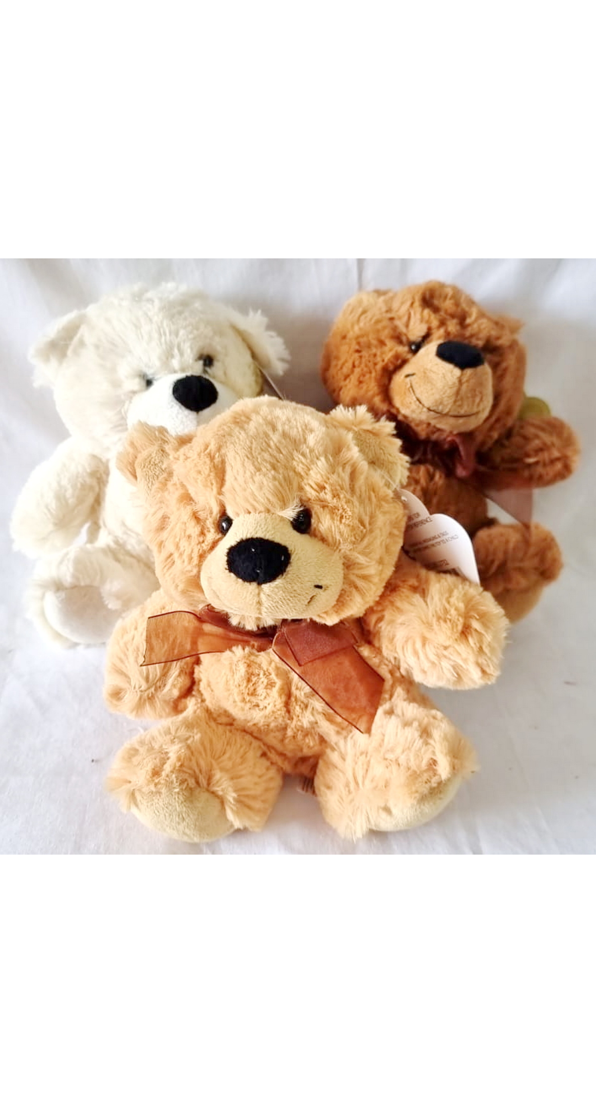 Snuggle Your Cuddly Friend Teddy Bear Soft Toy - 18x14cm